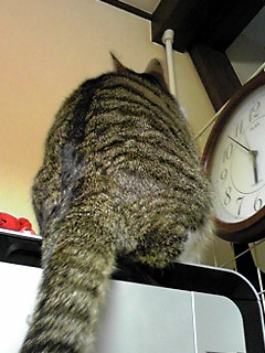 今日のもなか4月19日パート2