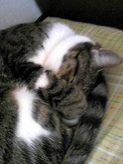 今日のもなか5月3日パート2