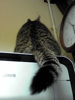 今日のもなか4月19日パート3