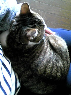 今日のもなか4月5日パート2