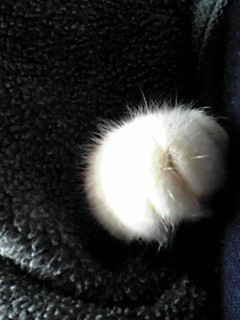 今日のもなか4月5日パート3