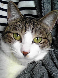 今日のもなか4月5日パート4