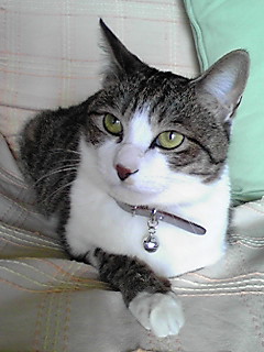 今日のもなか4月5日パート