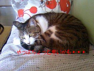 今日のもなか9月13日パート2