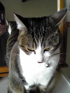 今日のもなか2月1日