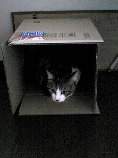 今日のもなか5月22日パート2