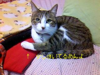 今日のもなか9月30日パート2