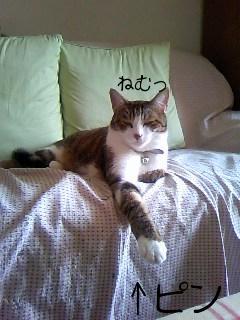 今日のもなか9月19日パート2