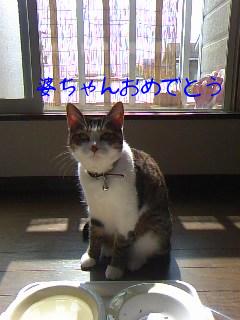 今日のもなか10月3日