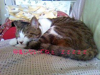 今日のもなか9月19日パート3