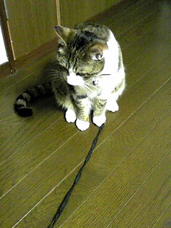 今日のもなか5月25日パート2