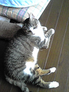 今日のもなか1月10日パート2