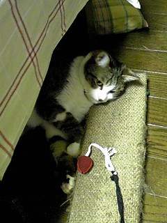 今日のもなか5月23日パート3