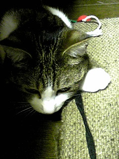 今日のもなか5月23日パート4