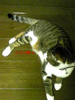 今日のもなか5月23日パート2