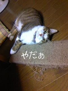 今日のもなか9月24日パート2