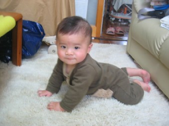 IMG_2740.JPG