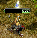 teima300.jpg