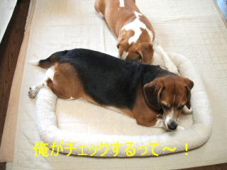 2007_0528画像0014.JPG