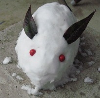 雪うさぎ