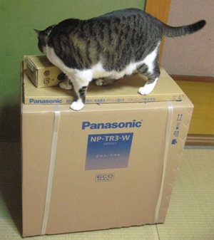 これです・・これ!!