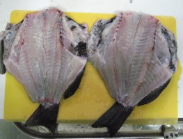 開いちゃったぁ