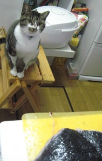 首をのばして・・・