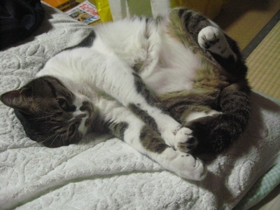 リンもツボ押しする?