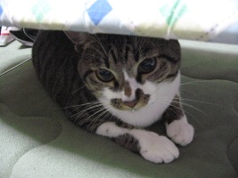 居場所 わかる？