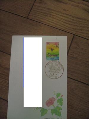 届いた葉書 裏