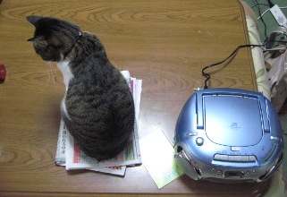 テーブルの上で・・