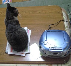 テーブルの上で・・・2