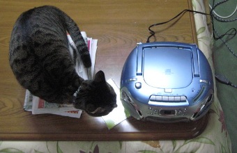 テーブルの上で・・・3