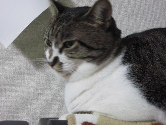 よくよく見ると