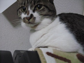 よくよく見ると　2