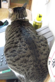 はみだしているのは・・・