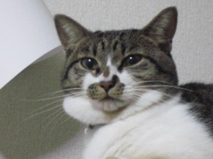 これこれ！！！