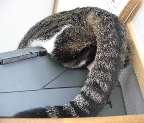 はみ出し部分・・下から