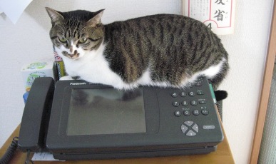 よっこらしょ・・・