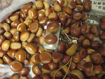 大きな栗