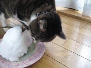 リンと雪うさぎ 4