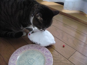 リンと雪うさぎ 6