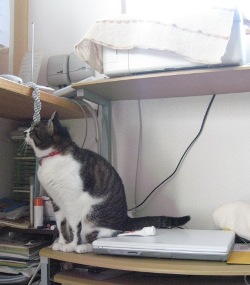 ＰＣのところに・・