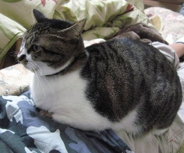 どこに座ってるのでしょう？