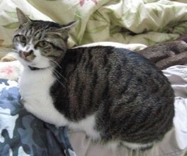 あれれ？どこに座ってるの？