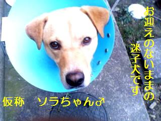 ソラくん