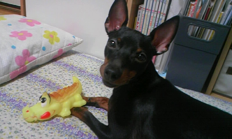 080903_2351~01.JPG