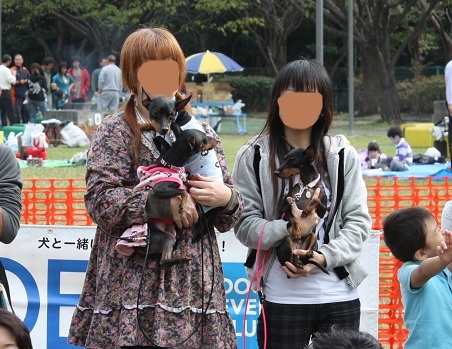 2011.10.30DEC小型犬.jpg