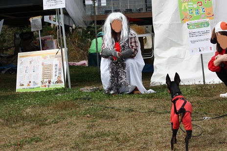 イヌリンピックCTママ2.jpg