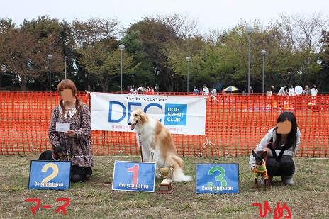 2011.10.30DEC犬種別1.jpg